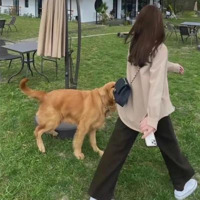 不再托腮遐思